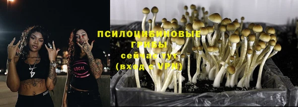 прущая мука Армянск